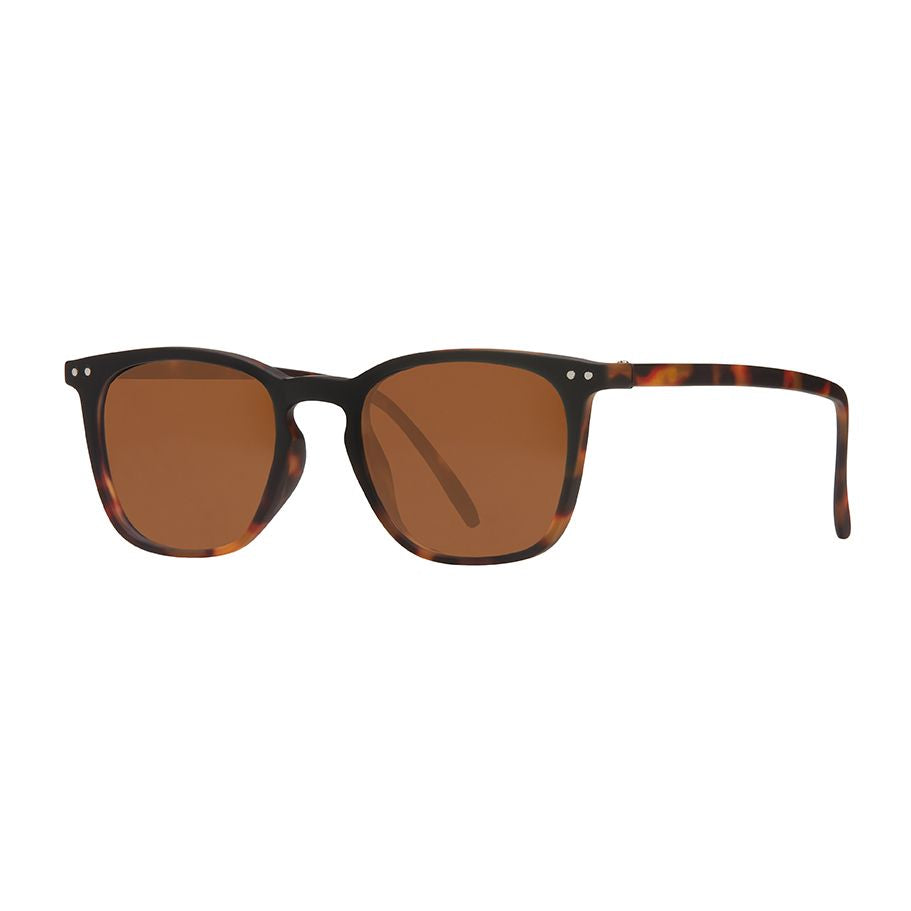 BP20952 - Harper Sun - Soft Onyx to Amber Tortoise / Sun Tinted Reader Lens