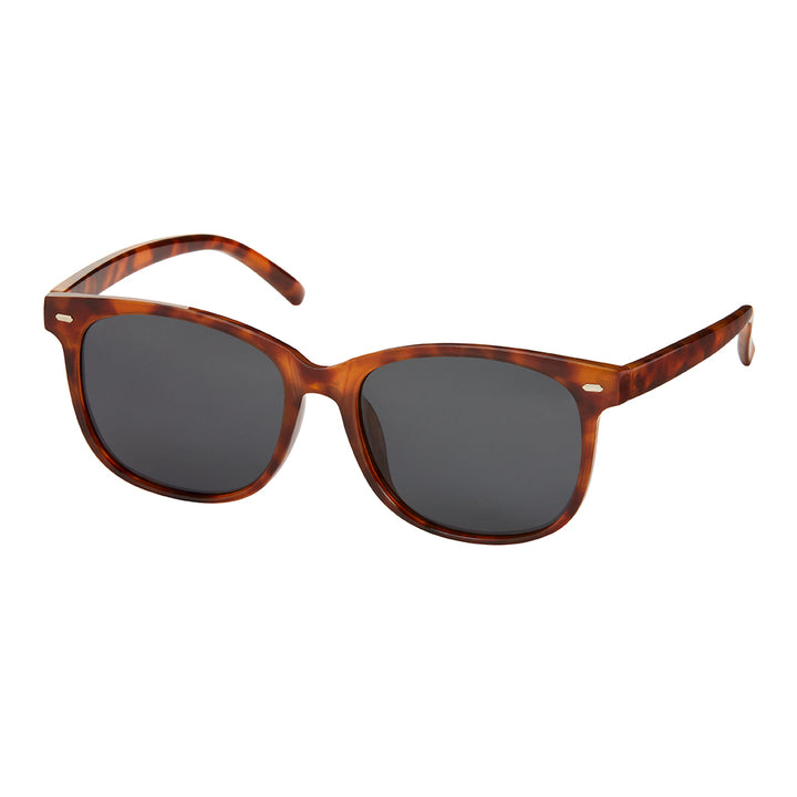 7865 NEW LUXE POLARIZED COLOR ASSORTMENT