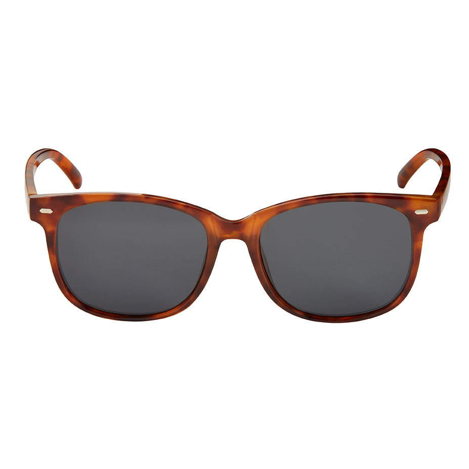 7865 NEW LUXE POLARIZED COLOR ASSORTMENT