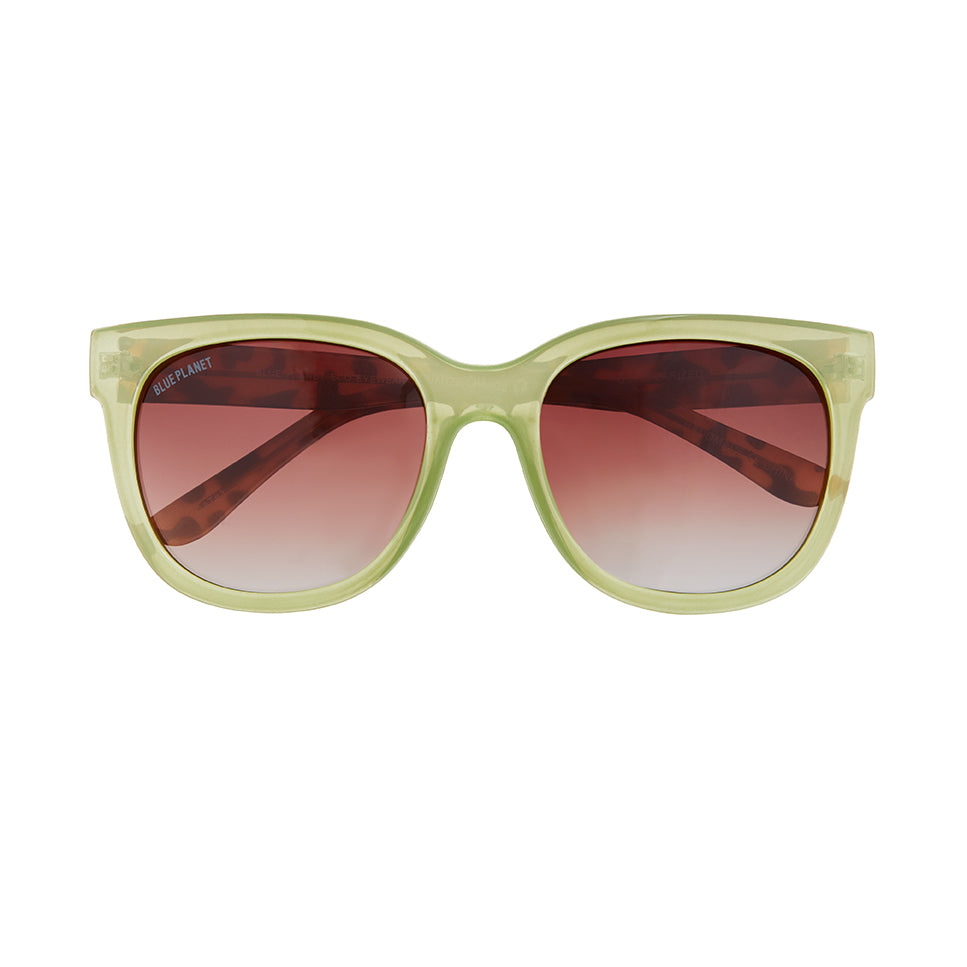 BP19826- NEW Acacia Green / Brown Tort / Gradient Brown Polarized Lens