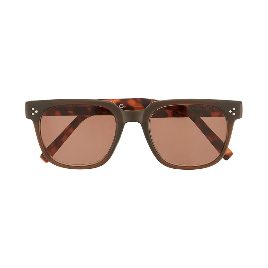 BP20381 NEW Aden Sun - Brown / Brown Tort Sun Tinted Readers