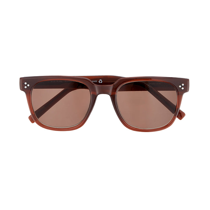 BP20384 NEW Aden Sun - Brown  / Brown Sun Tinted Readers