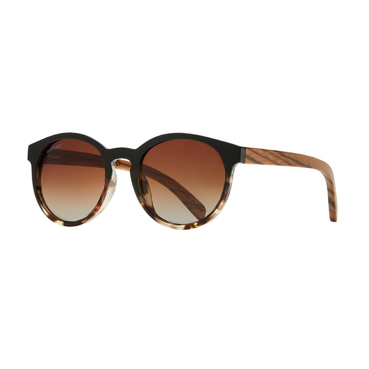 BP18181 - NEW Andiz Black / Brown Tort  / Zebra Wood / Brown Polarized Lens