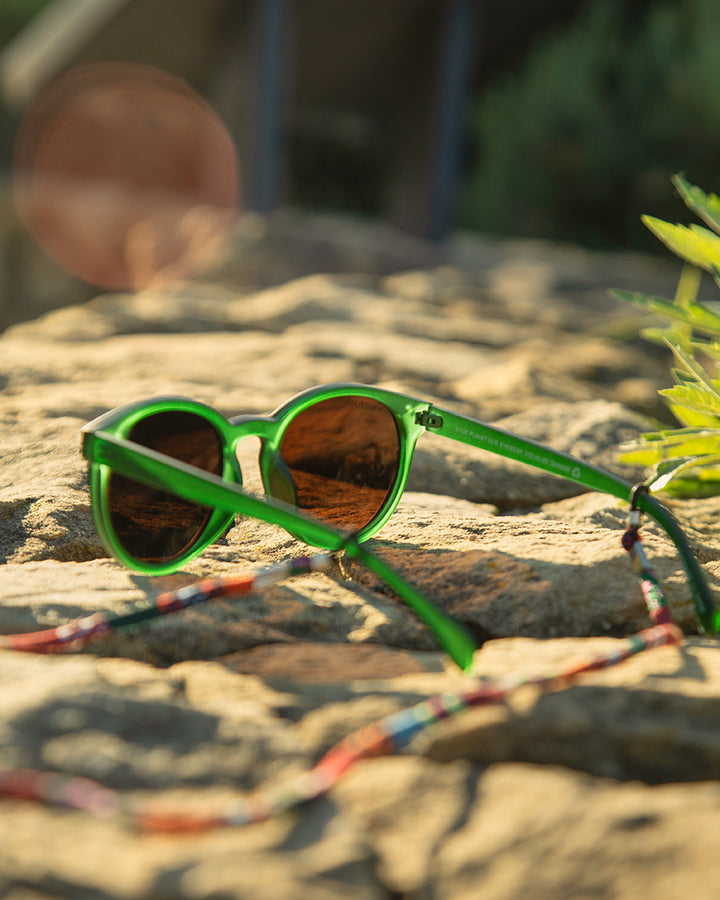 BP19887 - NEW Arches Soft Denim Blue / Brown Polarized Lenses