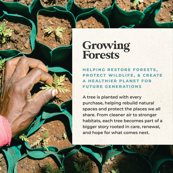 BP10272 - Aren - Matte Gold / Light Walnut Wood / Smoke Polarized Lens