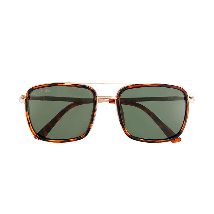BP10441- NEW Holden Brown Tort / Matte gold / Grey Green Pol