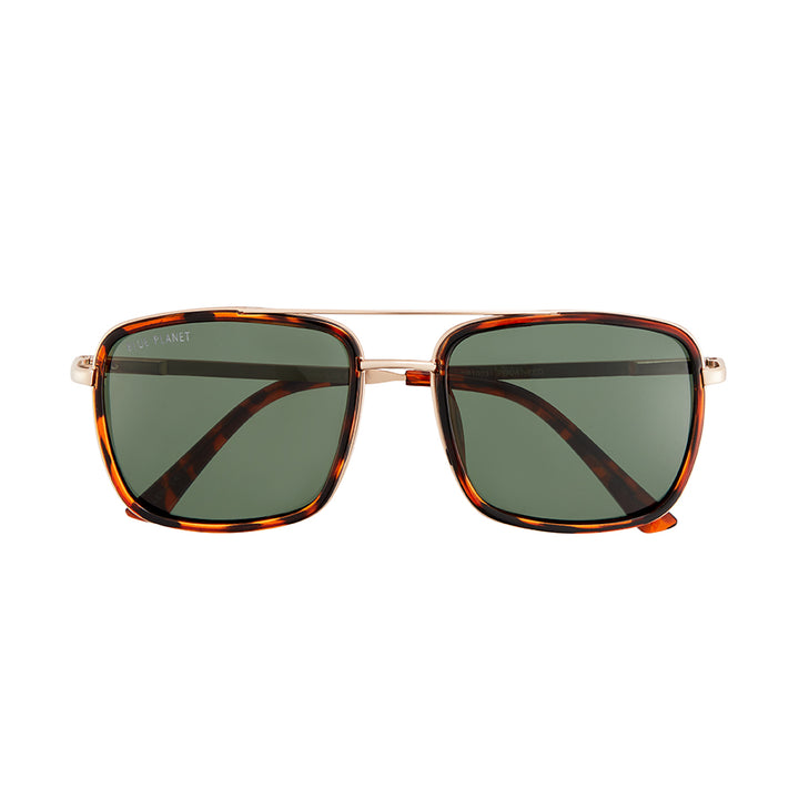 BP10441- NEW Holden Brown Tort / Matte gold / Grey Green Pol