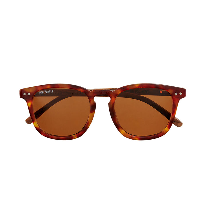 BP10084 NEW Kai Sunset Tort /Walnut Wood / Brown Polarized