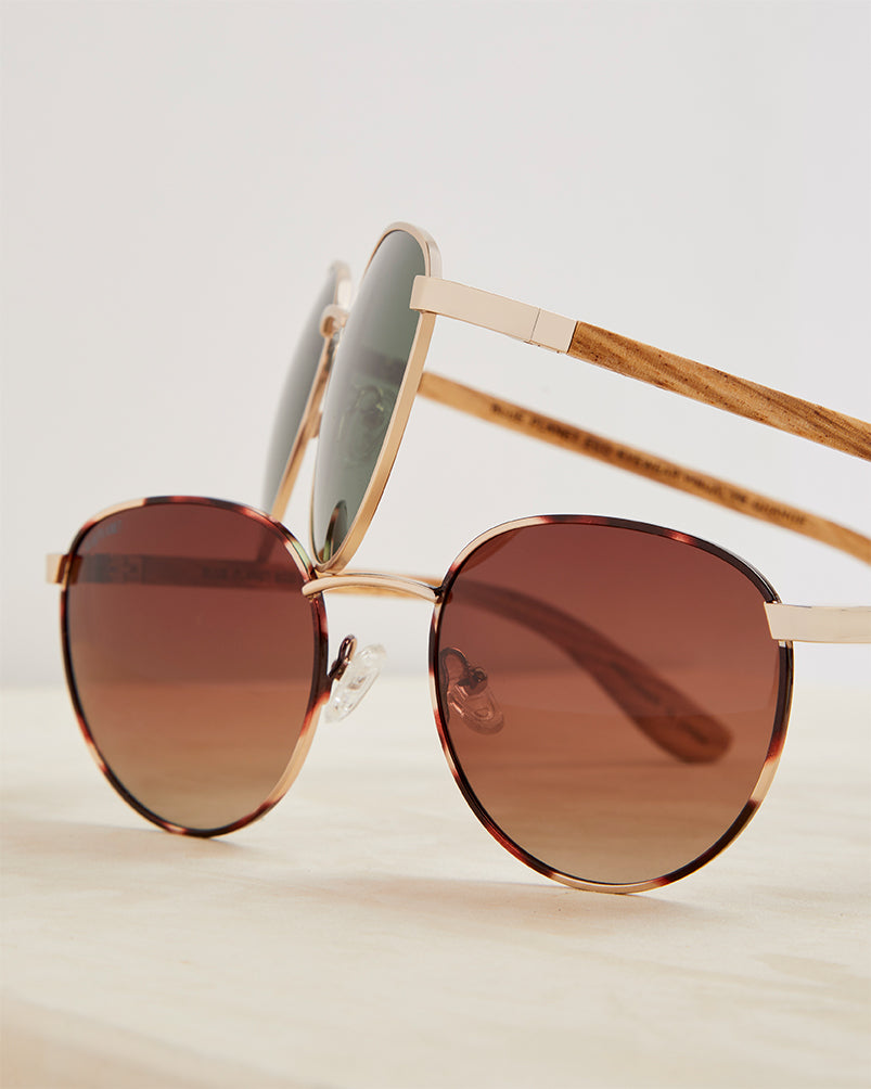BP10114 - NEW Liam Matte Gold Brown Tortoise / Walnut Wood / Brown Pol
