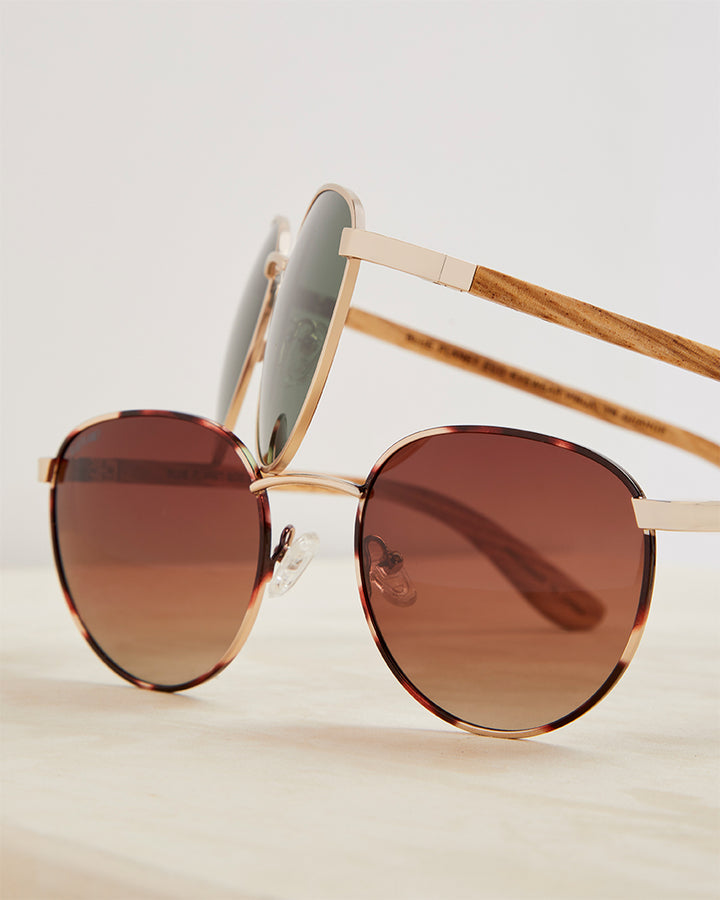 BP10114 - NEW Liam Matte Gold Brown Tortoise / Walnut Wood / Brown Pol