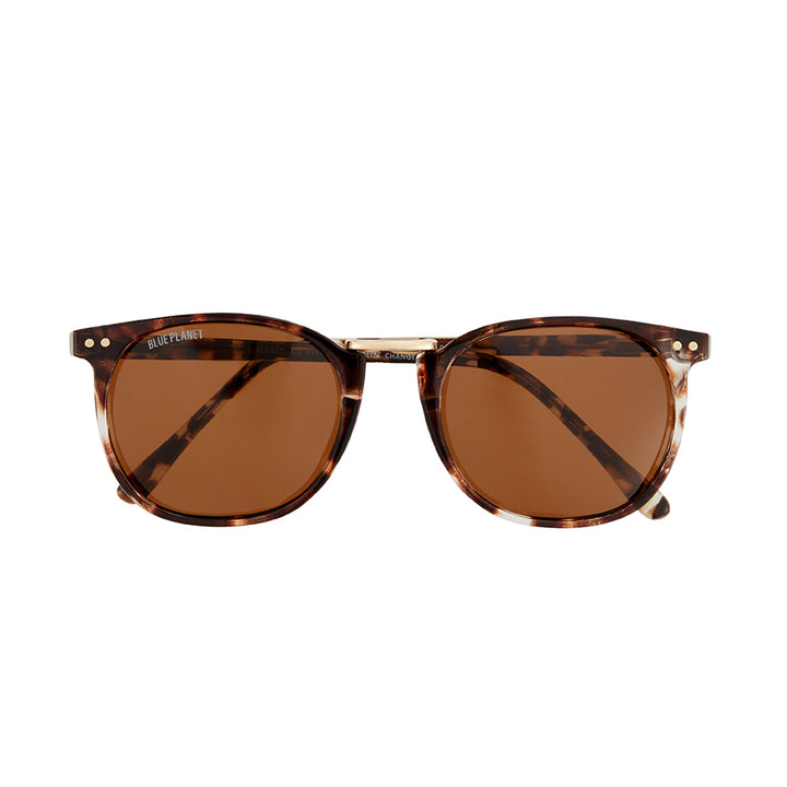 BP10074 NEW Theo Brown Tort/ Brown Polarized